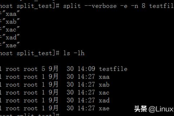 如何在Linux中高效拼接文件夹内容？  第1张