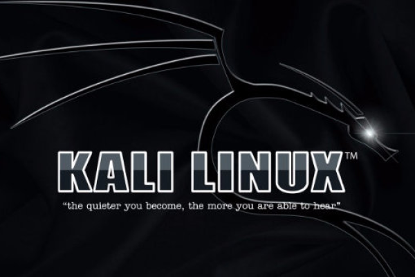 如何为Kali Linux更换软件源？