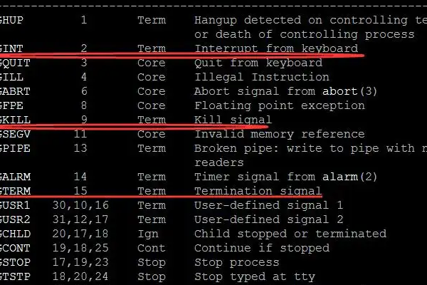 如何在Linux系统中有效地杀死进程？