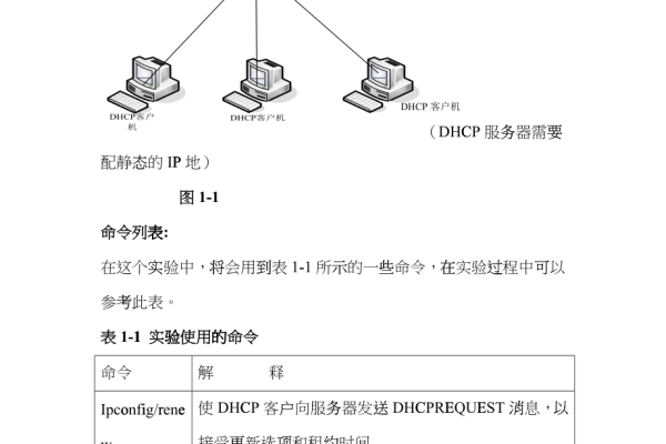 如何进行2008 DHCP服务器的设置？