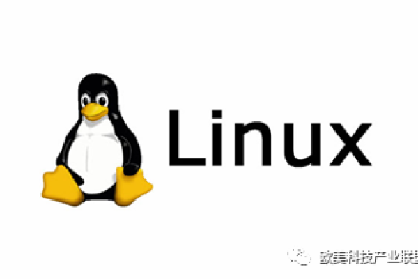 Linux电视频道，探索开源世界的视听新天地？  第1张