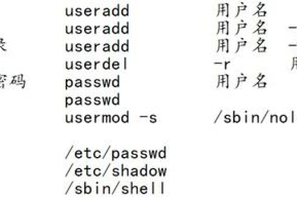 如何有效进行Linux系统中的用户配置管理？  第1张