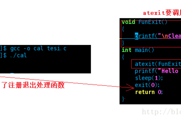 Exit函数在编程中的作用是什么？