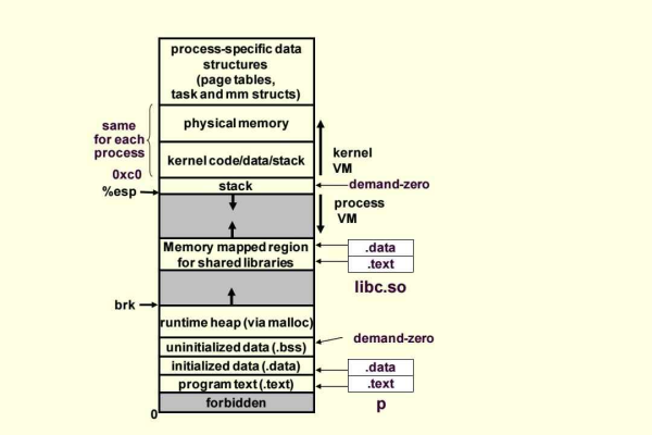 如何在Linux中配置和管理多路径存储设备？