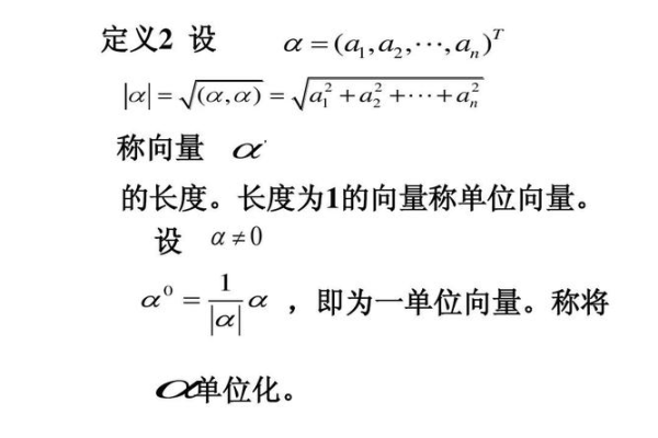 什么是向量单位化？