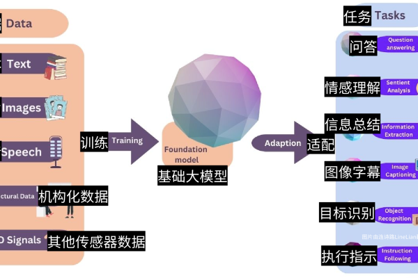 D语言是什么？探索其特性与应用场景