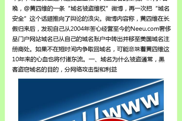 如何确保在注册域名时采取有效的安全措施？  第1张