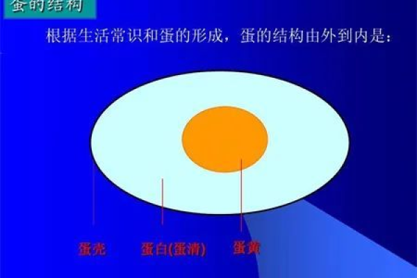 探究‘图’的结构，它究竟是什么？