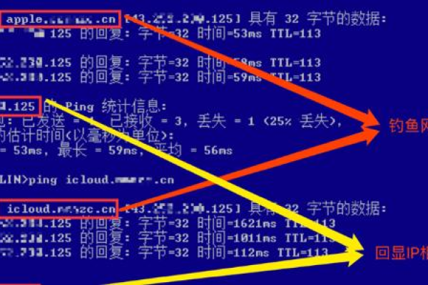 为何局域网用户无法通过ping命令访问服务器地址？