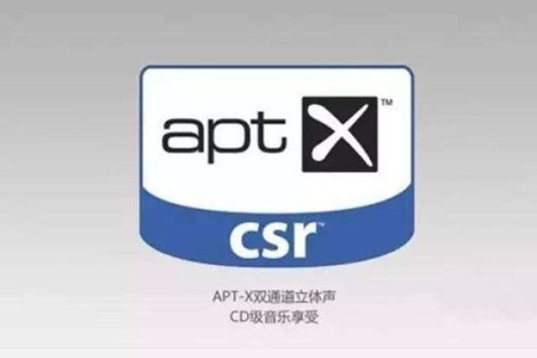 APT究竟是什么意思？  第1张