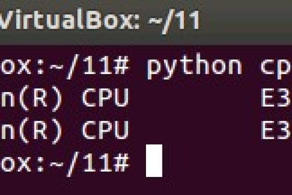 如何在Linux环境中运行Python脚本？