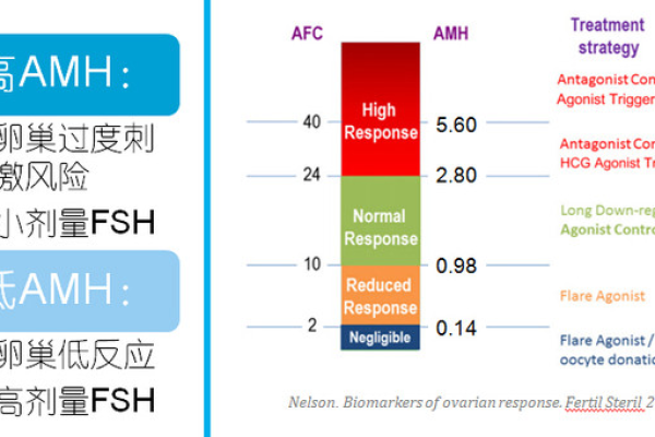 如何高效利用AMH进行网站建设？  第1张