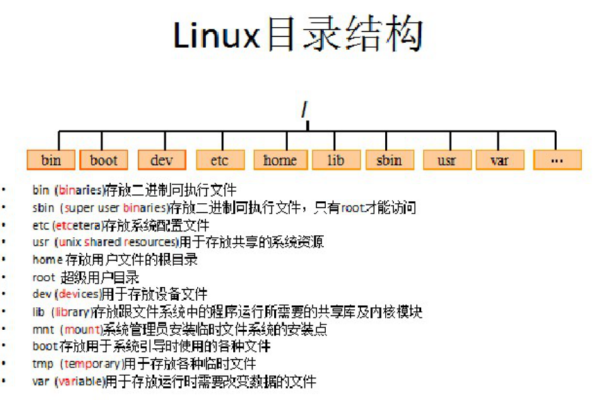 如何在Linux环境下查看当前目录结构？