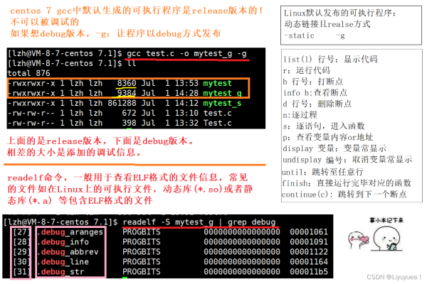 Linux初学者如何通过练习题提升技能？