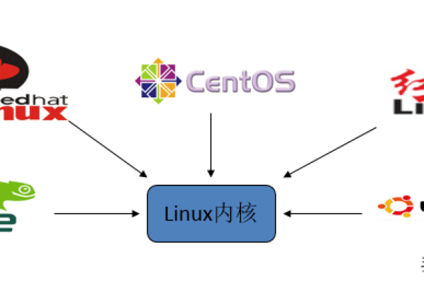 探索Linux考试简答题，如何有效准备和应对？  第1张