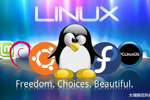 锐捷官网是否提供了针对Linux系统的特别支持或资源？