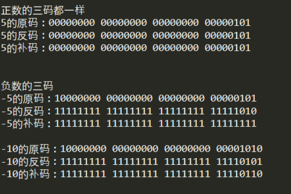 php 存储二进制数据_PHP