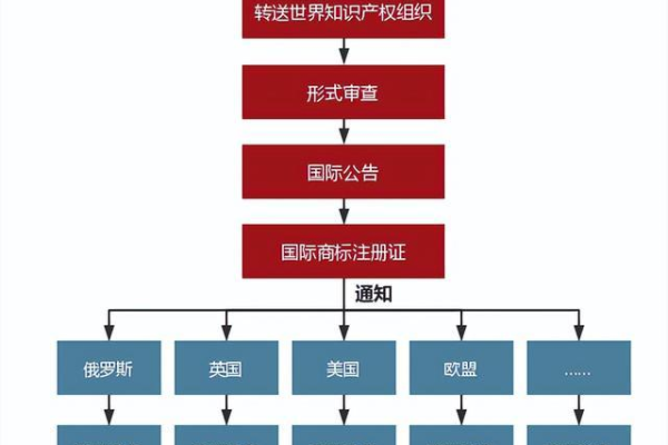 国别域名注册过程中有哪些具体的步骤和注意事项？