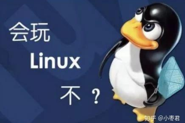 如何充分利用Linux云电脑的强大功能？