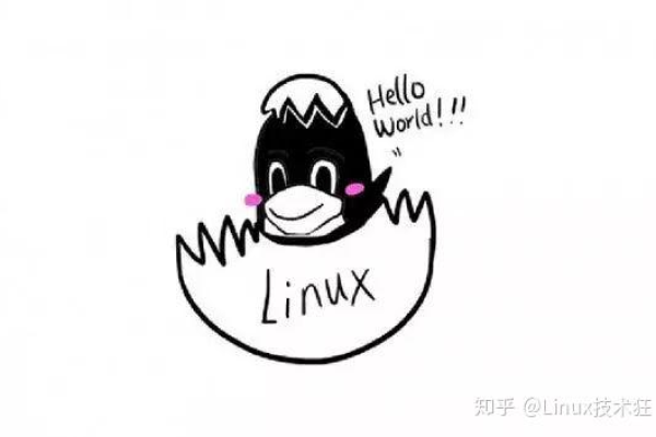 掌握未来，为什么现在学习Linux变得至关重要？