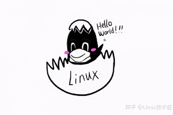 如何掌握Linux Shell脚本编程的精髓？