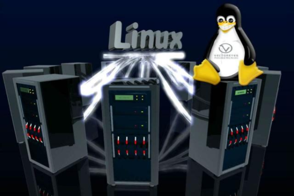 Linux主机指的是什么？