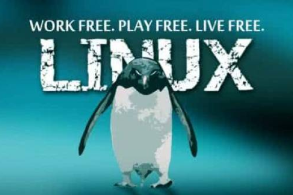 在众多Linux发行版中，我该如何选择最适合我的那一个？