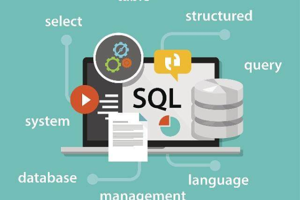 SQL是什么？它有哪些主要功能和用途？  第1张