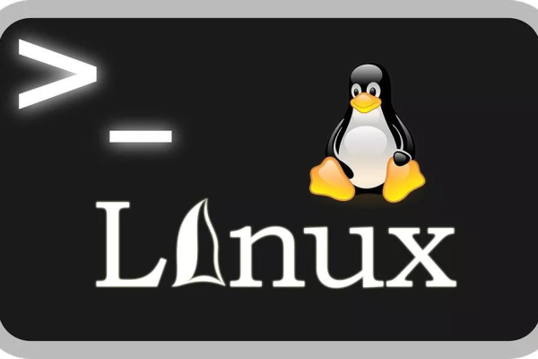 如何有效掌握数通Linux的使用技巧？  第1张