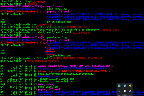 在Linux系统中，以字母D开头的命令或文件通常代表什么含义？