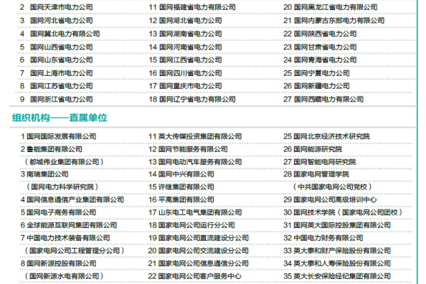 国网公司网站_分公司或子公司网站是否可以备案到总公司备案中