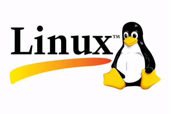 Linux开发者通常具备哪些独特的职业特征？