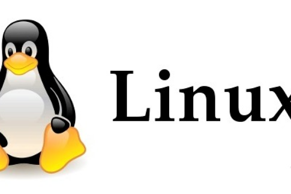 升级还是保留？探索在老旧Linux系统上安装新内核的利弊