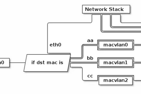 探索虚拟化技术，Linux在构建虚拟系统中扮演什么角色？