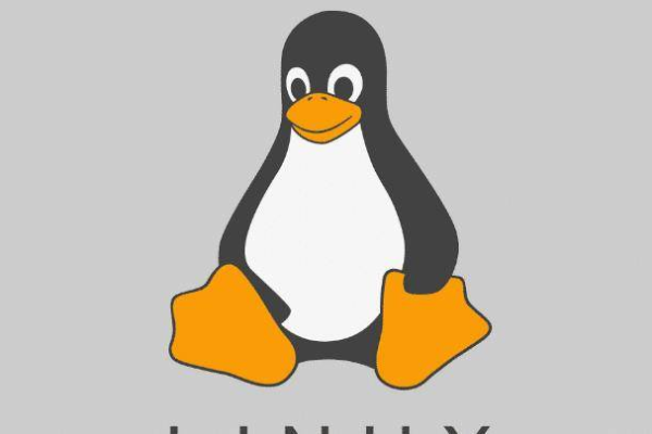 如何在Linux环境下绘制矢量图形？