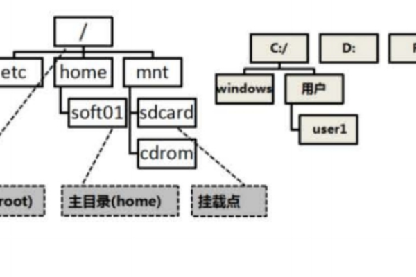 在Linux系统中，常见的目录结构有哪些？