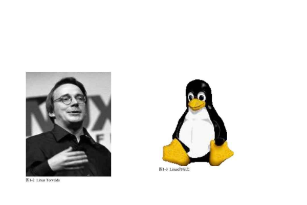 在Linux社区中，哪些经典表情包最能代表开源文化？  第1张