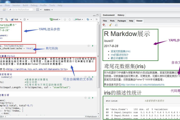 如何利用Rank Math插件创建网站的SEO报告？