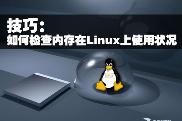 如何有效排查Linux系统中的内存问题？  第1张