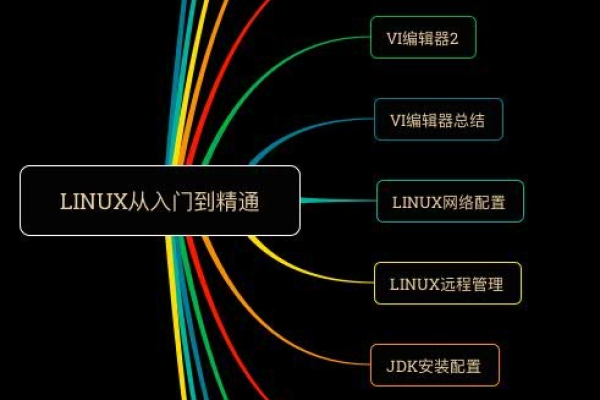 在技术学习路径选择中，是优先掌握Linux系统还是编程语言？