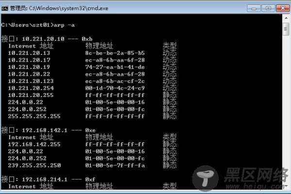 如何使用Linux命令查看ARP缓存表？