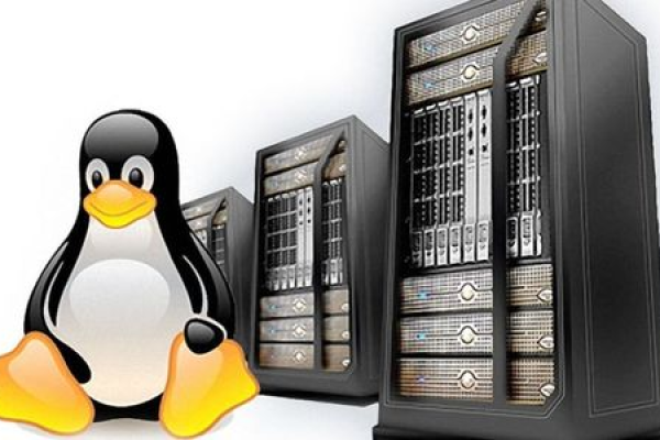 Linux主机的外观特征有哪些？