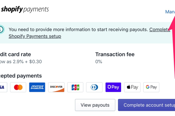 如何设置Shopify的付款方式？  第1张