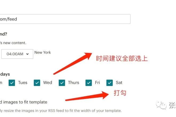 如何有效利用WordPress的自定义推送暂存功能？