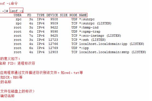 如何在Linux中查找程序的端口号？  第1张