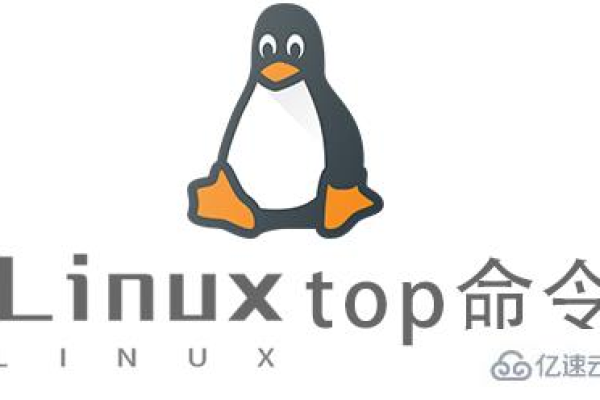 探究Linux中top命令的起源，它是怎样诞生的？