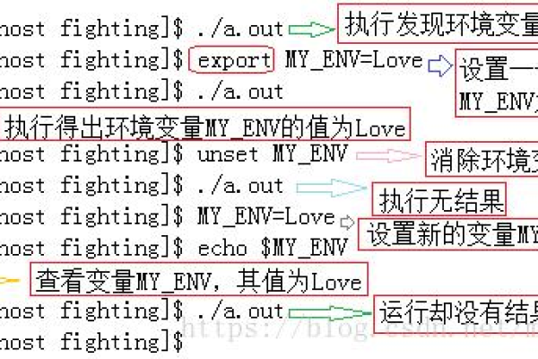 Linux变量的作用与重要性是什么？  第1张