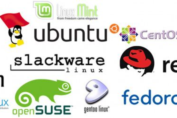 如何在Linux后端开发面试中展示你的技术优势？