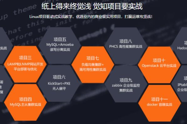 如何在众多选项中做出明智的选择，深入探讨Linux云计算解决方案