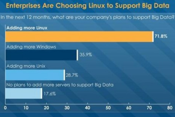 Linux产品开发公司如何应对日益增长的市场需求？